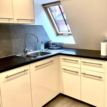 L'ecrin Des Orfevres - Triplex With Cathedral View Strasbourg