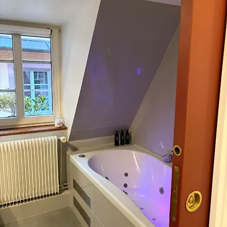 L'ecrin Des Orfevres - Triplex With Cathedral View Apartment